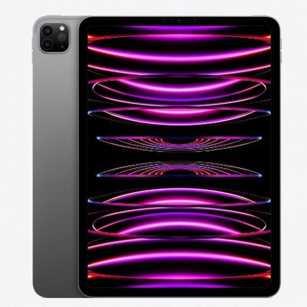 Apple iPad Pro 12.9" 2022 2TB (5G, cерый космос) - фото1