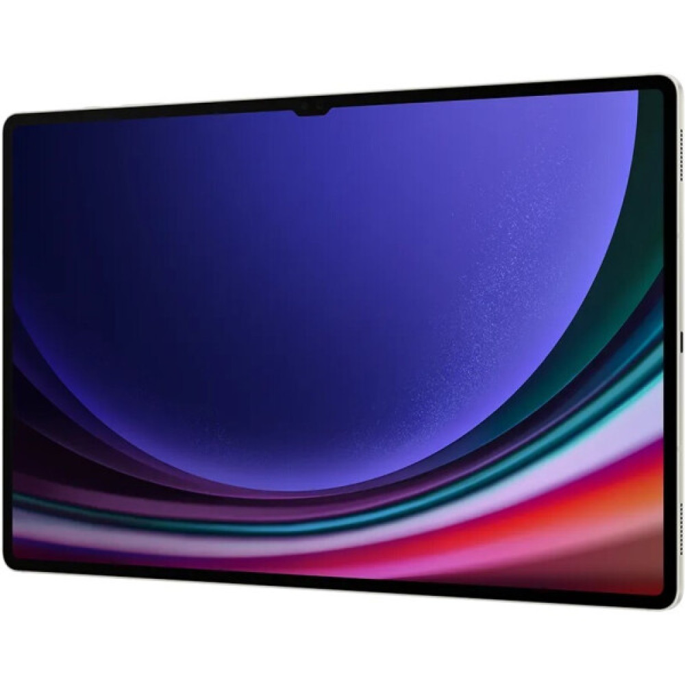 Samsung Galaxy Tab S9 Ultra 5G (SM-X916B) 16Gb/1Tb Beige - фото2